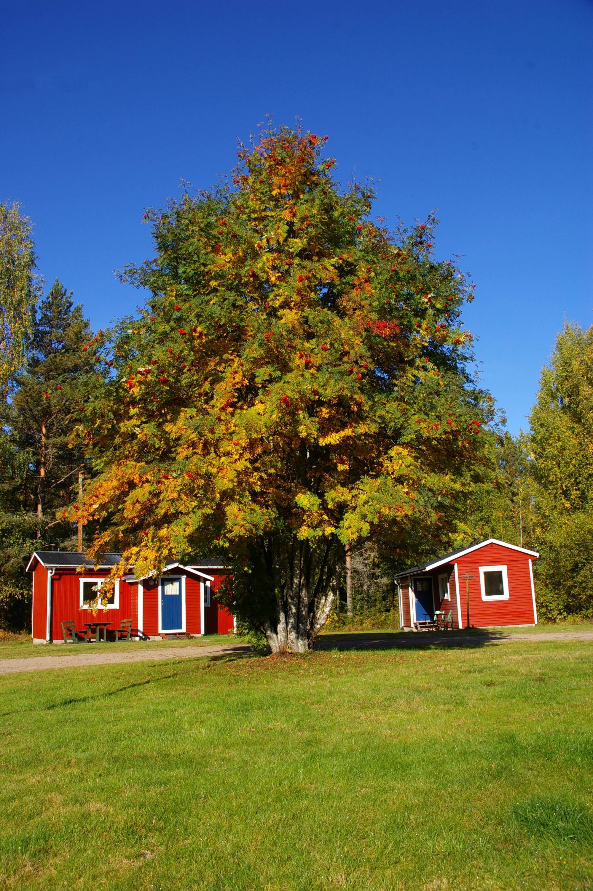Camping45 (Överbyn, Torsby)